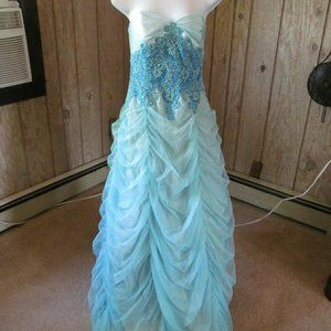 Adult Cinderella Gown Halloween Costume with Crown Gloves & Cape Size 8